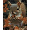 Алмазная картина Осенняя белка 40х50 (ZAV4050-52)