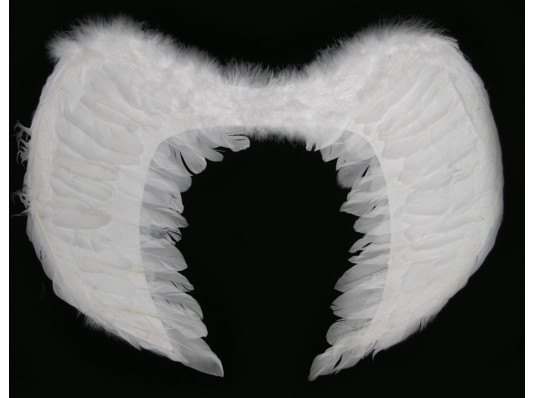 Крылья ангела 60 x 45 см  купить в интернет магазине подарков ПраздникШоп
