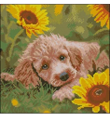 Алмазная картина Щенок в подсолнечниках 30х30 (FZ3030-43) купить в интернет магазине подарков ПраздникШоп