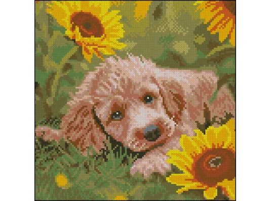 Алмазная картина Щенок в подсолнечниках 30х30 (FZ3030-43) купить в интернет магазине подарков ПраздникШоп