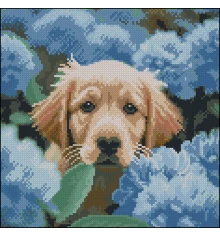 Алмазная картина Пес в астрах 30х30 (FZ3030-42) купить в интернет магазине подарков ПраздникШоп