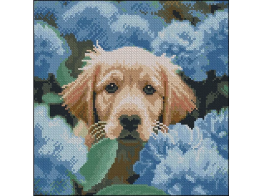 Алмазная картина Пес в астрах 30х30 (FZ3030-42) купить в интернет магазине подарков ПраздникШоп