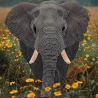Алмазная картина Слон в саване 30х30 (YJB3030-03)