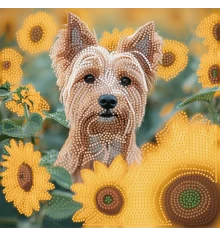 Алмазная картина Пес в поле 30х30 (YJB3030-08) купить в интернет магазине подарков ПраздникШоп
