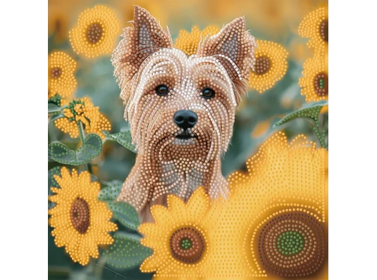 Алмазная картина Пес в поле 30х30 (YJB3030-08) купить в интернет магазине подарков ПраздникШоп