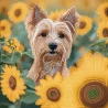 Алмазная картина Пес в поле 30х30 (YJB3030-08)