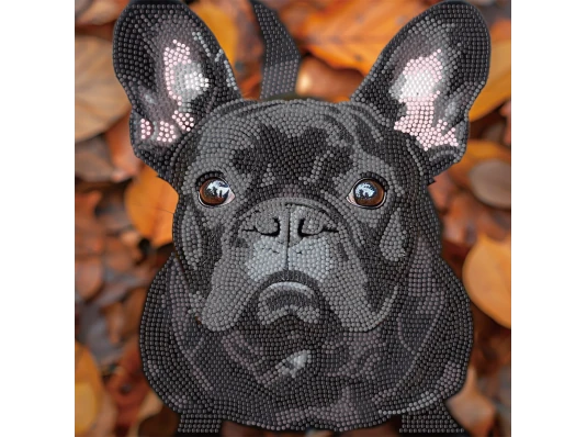 Алмазная картина Бульдог осенью 30х30 (YJB3030-10) купить в интернет магазине подарков ПраздникШоп