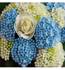 Алмазная картина Нежный букет 30х30 (YJB3030-12) купить в интернет магазине подарков ПраздникШоп