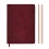 Ежедневник Leo Planner Vector А5 датированный 2027 твердый бордовый 368 страниц купить в интернет магазине подарков ПраздникШоп