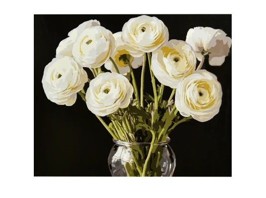 Картина по номерам Белые ранункулюсы на черном фоне 40х50 (AH1301) купить в интернет магазине подарков ПраздникШоп