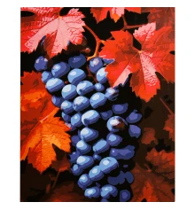 Картина по номерам Сочный виноград на черном фоне 40х50 (AH1306) купить в интернет магазине подарков ПраздникШоп