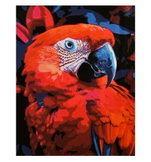 Картина по номерам Яркая ара на черном фоне 40х50 (AH1308) купить в интернет магазине подарков ПраздникШоп