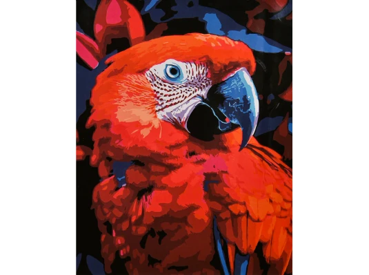 Картина по номерам Яркая ара на черном фоне 40х50 (AH1308) купить в интернет магазине подарков ПраздникШоп