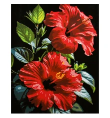Картина по номерам Тропический цветок на черном фоне 40х50 (AH1309) купить в интернет магазине подарков ПраздникШоп
