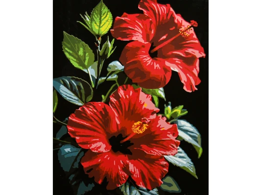 Картина по номерам Тропический цветок на черном фоне 40х50 (AH1309) купить в интернет магазине подарков ПраздникШоп