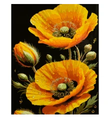 Картина по номерам Солнечные маки на черном фоне 40х50 (AH1311) купить в интернет магазине подарков ПраздникШоп