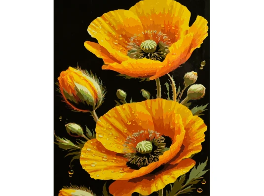 Картина по номерам Солнечные маки на черном фоне 40х50 (AH1311) купить в интернет магазине подарков ПраздникШоп