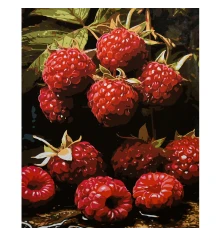 Картина по номерам Сочная малина на черном фоне 40х50 (AH1313) купить в интернет магазине подарков ПраздникШоп