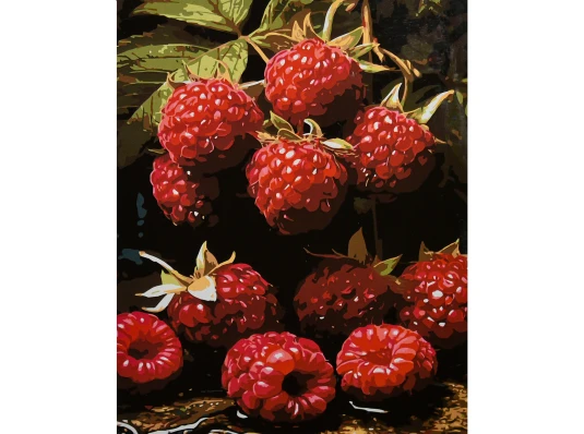 Картина по номерам Сочная малина на черном фоне 40х50 (AH1313) купить в интернет магазине подарков ПраздникШоп