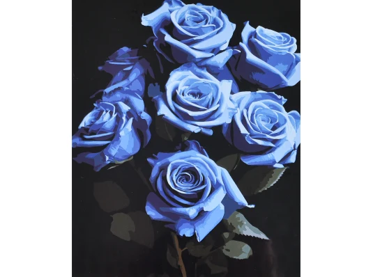 Картина по номерам Загадочные синие розы на черном фоне 40х50 (AH1314) купить в интернет магазине подарков ПраздникШоп