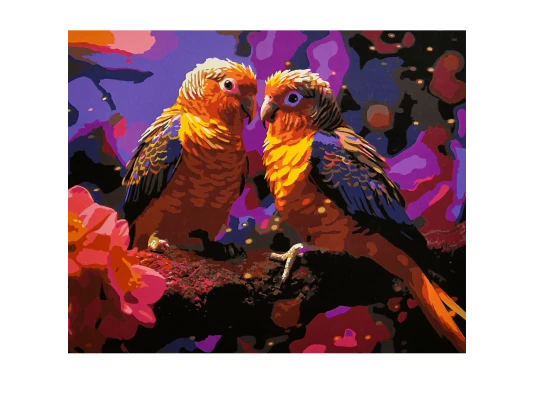 Картина по номерам Яркая пара на черном фоне 40х50 (AH1317) купить в интернет магазине подарков ПраздникШоп