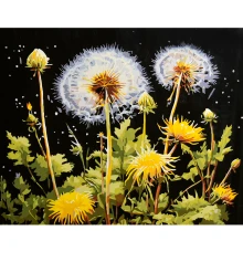 Картина по номерам Легкость одуванчиков на черном фоне 40х50 (AH1322) купить в интернет магазине подарков ПраздникШоп