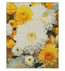 Алмазная картина Желто-белые астры 40х50 (FZ4050-02) купить в интернет магазине подарков ПраздникШоп