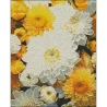 Алмазная картина Желто-белые астры 40х50 (FZ4050-02)