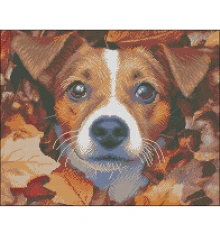 Алмазная картина Пес в листьях 40х50 (FZ4050-05) купить в интернет магазине подарков ПраздникШоп