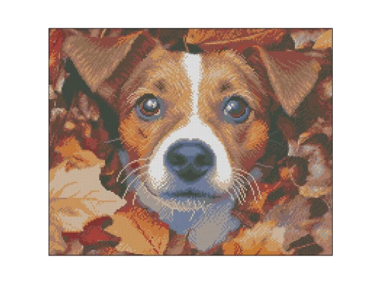 Алмазная картина Пес в листьях 40х50 (FZ4050-05) купить в интернет магазине подарков ПраздникШоп