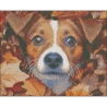 Алмазная картина Пес в листьях 40х50 (FZ4050-05)