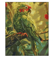 Алмазная картина Изумрудный попугай 40х50 (FZ4050-09) купить в интернет магазине подарков ПраздникШоп