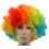 Перука «Клоун» (кольоровий) купить в интернет магазине подарков ПраздникШоп