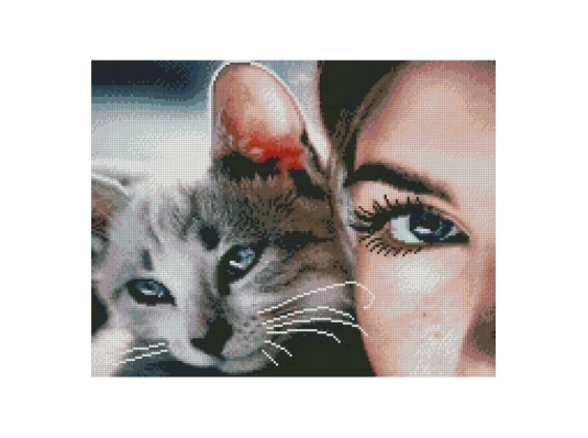Алмазная мозаика ПРЕМИУМ Кошка-друг 40х50 см FA40838 купить в интернет магазине подарков ПраздникШоп