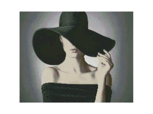 Алмазная картина ПРЕМИУМ Таинственная женщина размером 40х50 см (L-390) купить в интернет магазине подарков ПраздникШоп