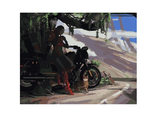 Картина по номерам ПРЕМИУМ Отдых на мотоцикле размером 40х50 см (GS390) купить в интернет магазине подарков ПраздникШоп