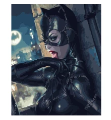 Картина по номерам ПРЕМИУМ Соблазнительная женщина-кошка с лаком размером 40х50 см VA-2993 купить в интернет магазине подарков ПраздникШоп