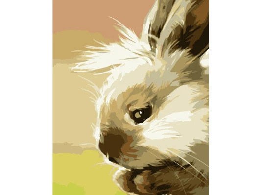 Картина по номерам ПРЕМИУМ Маленький зайчонок размером 40х50 см (DY157) купить в интернет магазине подарков ПраздникШоп