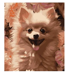 Картина по номерам Шпиц среди розовых цветов на цветном фоне размером 40х50 см (MZ009) купить в интернет магазине подарков ПраздникШоп