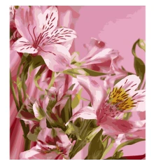 Картина по номерам Цветочная гармония на цветном фоне размером 40х50 см (MZ057) купить в интернет магазине подарков ПраздникШоп