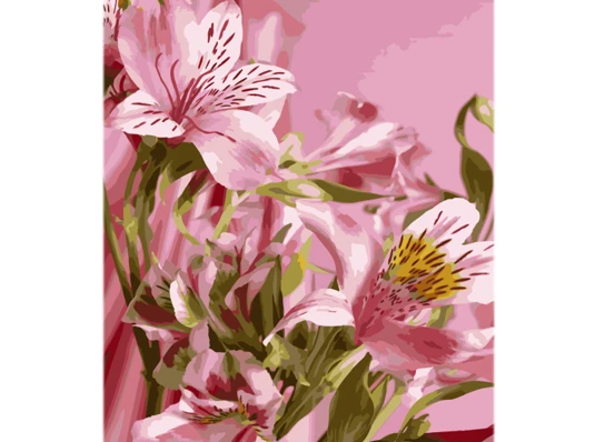 Картина по номерам Цветочная гармония на цветном фоне размером 40х50 см (MZ057) купить в интернет магазине подарков ПраздникШоп