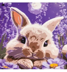 Картина по номерам Кролик в лунном сиянии 30х30 (ES-0916) купить в интернет магазине подарков ПраздникШоп