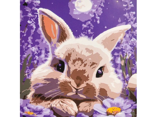 Картина по номерам Кролик в лунном сиянии 30х30 (ES-0916) купить в интернет магазине подарков ПраздникШоп