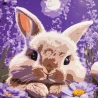 Картина по номерам Кролик в лунном сиянии 30х30 (ES-0916)