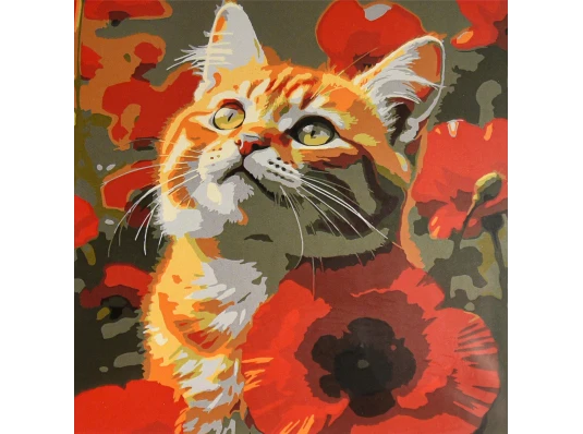 Картина по номерам Кот среди маков 30х30 (ES-0917) купить в интернет магазине подарков ПраздникШоп