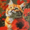 Картина по номерам Кот среди маков 30х30 (ES-0917)