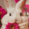 Картина по номерам Кролик жует цветы 30х30 (ES-0918)