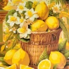 Картина по номерам Лимонная корзина 30х30 (ES-0923)