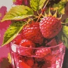 Картина по номерам Сочная малина 30х30 (ES-0927)