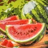 Картина по номерам Сочный арбуз 30х30 (ES-0930)